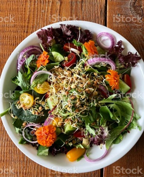 Organic Green Salad -Rabsal cafe