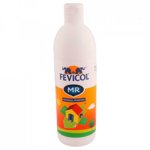 Fevicol Mr General Purpose Glue 500g