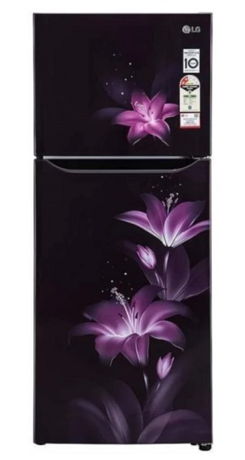 LG Fridge N292BPGY