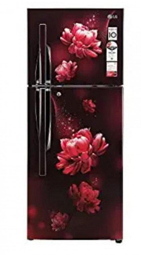 LG Fridge S292RSCY